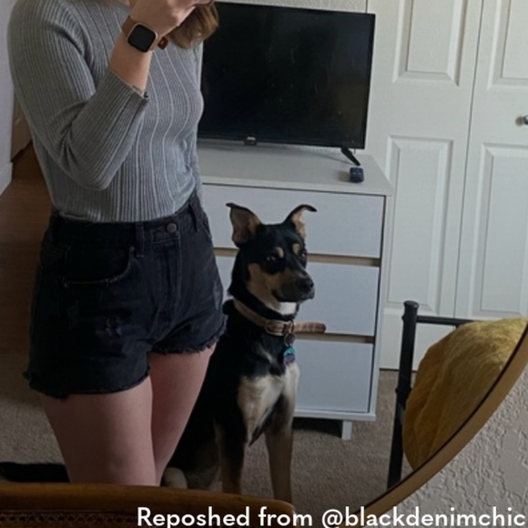 Reformation Dixie High Rise Shorts - Picture 8 of 8